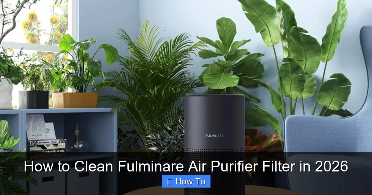 How to Clean Fulminare Air Purifier Filter in 2026