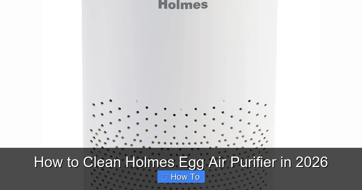 How to Clean Holmes Egg Air Purifier in 2026