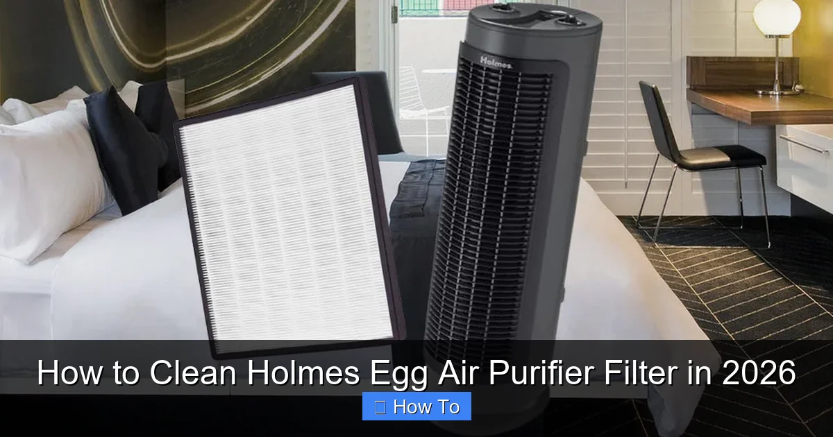 How to Clean Holmes Egg Air Purifier Filter in 2026