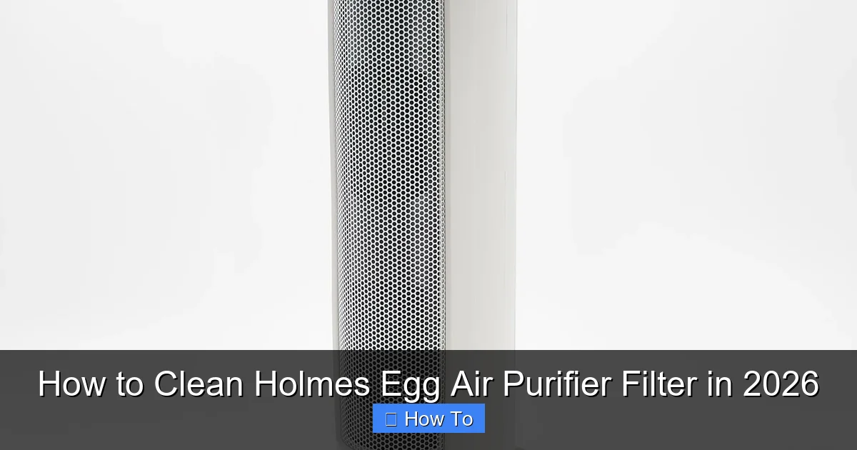 How to Clean Holmes Egg Air Purifier Filter in 2026