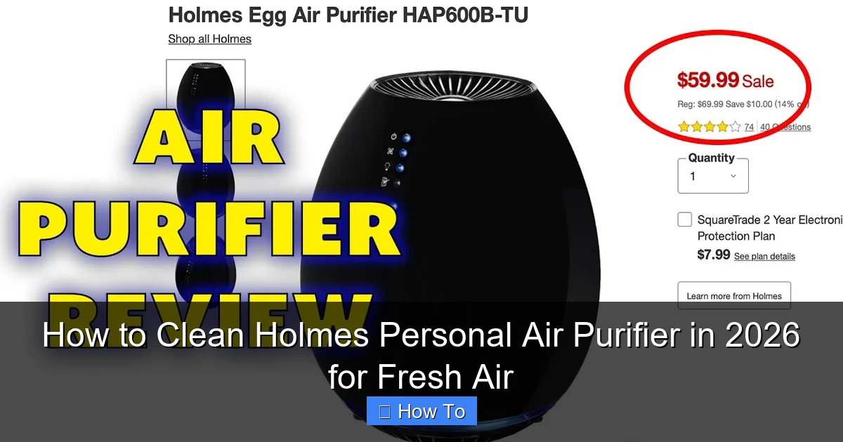 How to Clean Holmes Personal Air Purifier in 2026 for Fresh Air