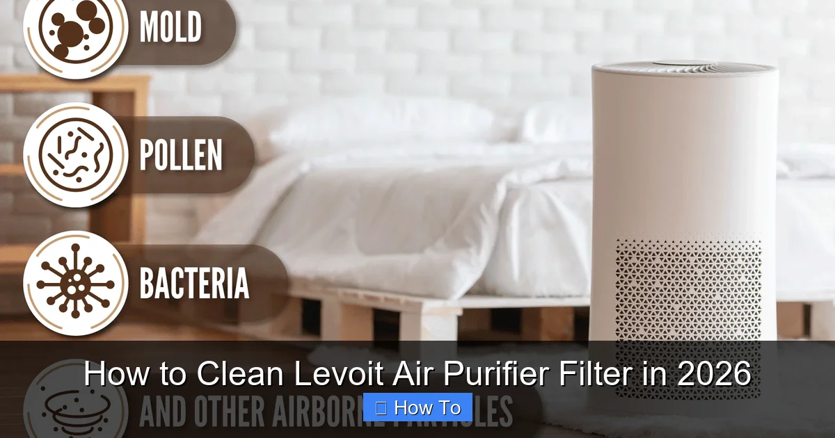 How to Clean Levoit Air Purifier Filter in 2026
