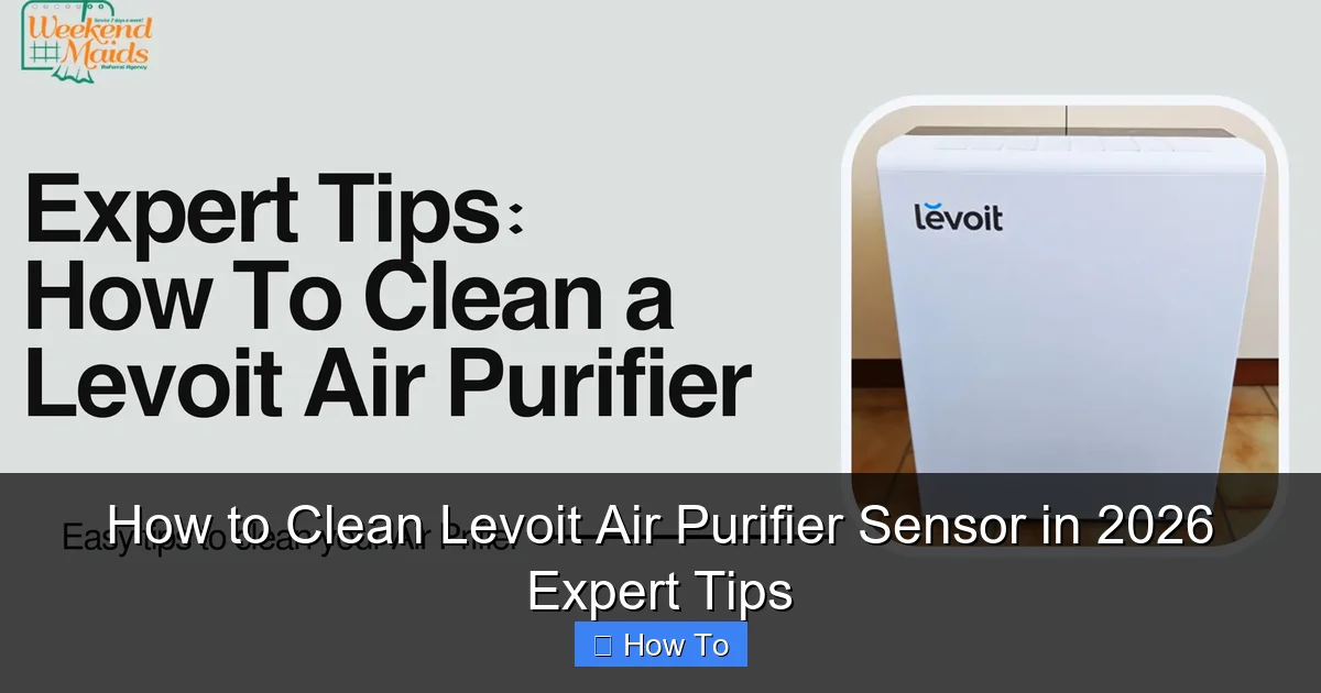 How to Clean Levoit Air Purifier Sensor in 2026 Expert Tips