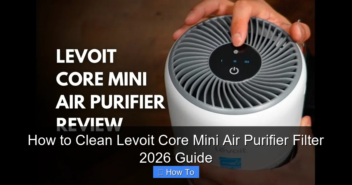 How to Clean Levoit Core Mini Air Purifier Filter 2026 Guide