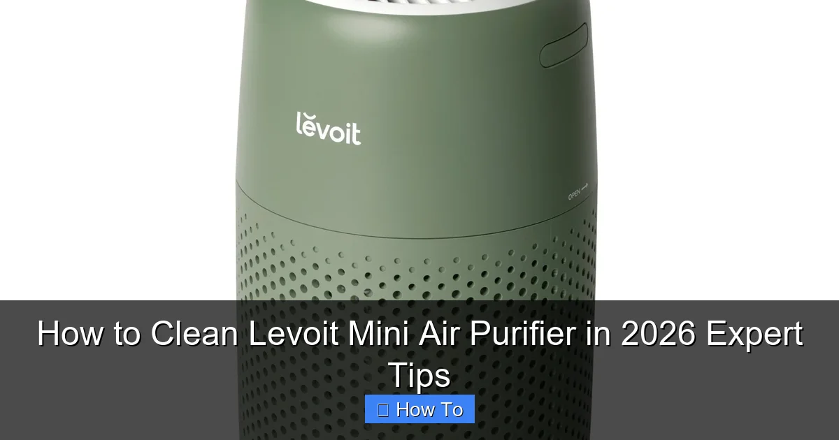 How to Clean Levoit Mini Air Purifier in 2026 Expert Tips