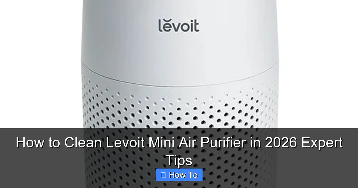 How to Clean Levoit Mini Air Purifier in 2026 Expert Tips