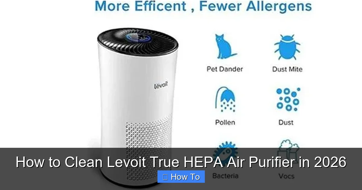 How to Clean Levoit True HEPA Air Purifier in 2026
