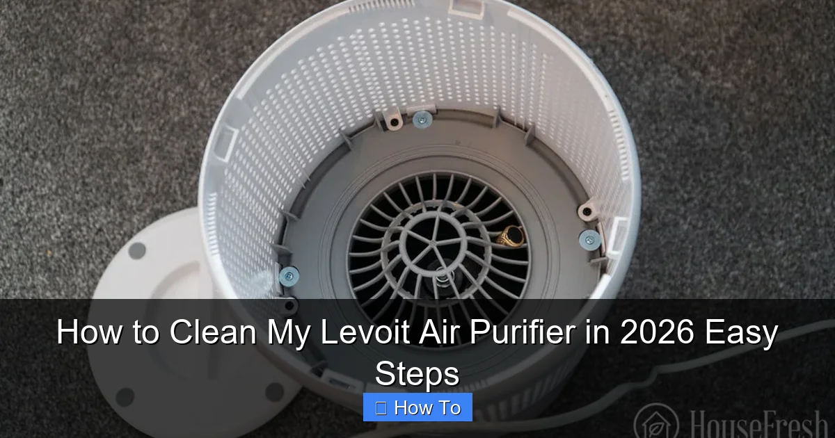 How to Clean My Levoit Air Purifier in 2026 Easy Steps