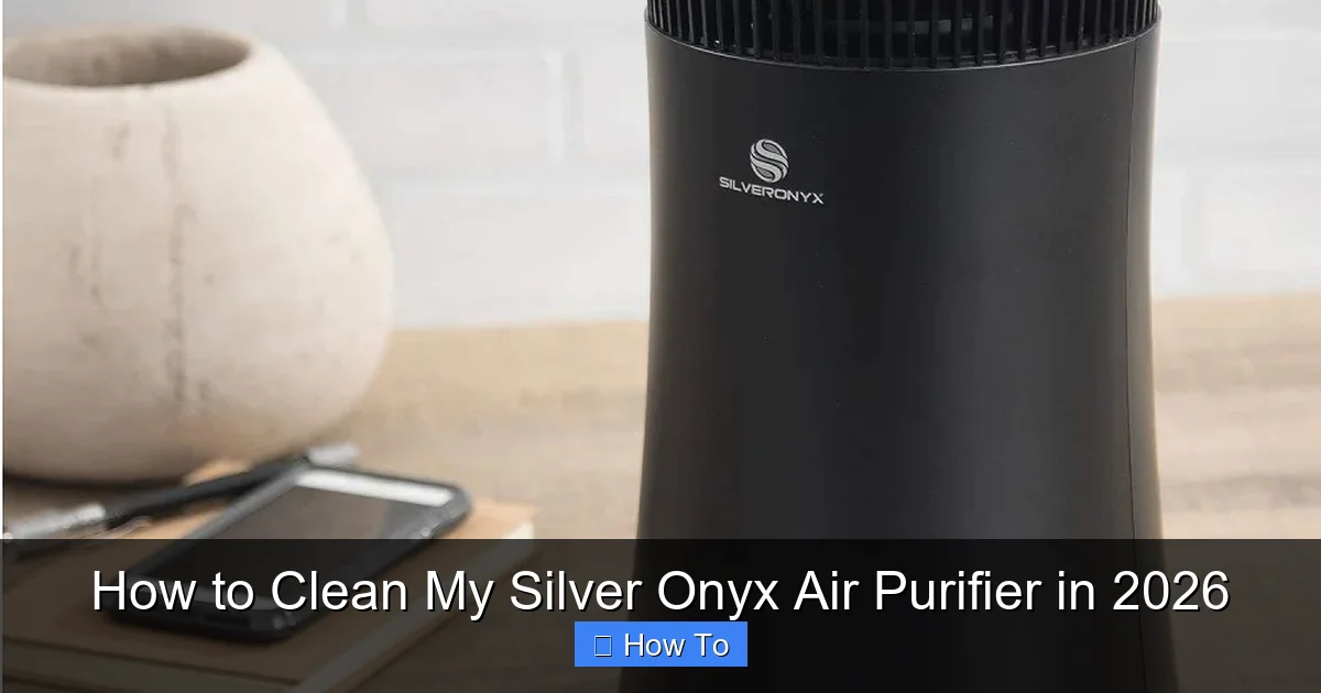 How to Clean My Silver Onyx Air Purifier in 2026