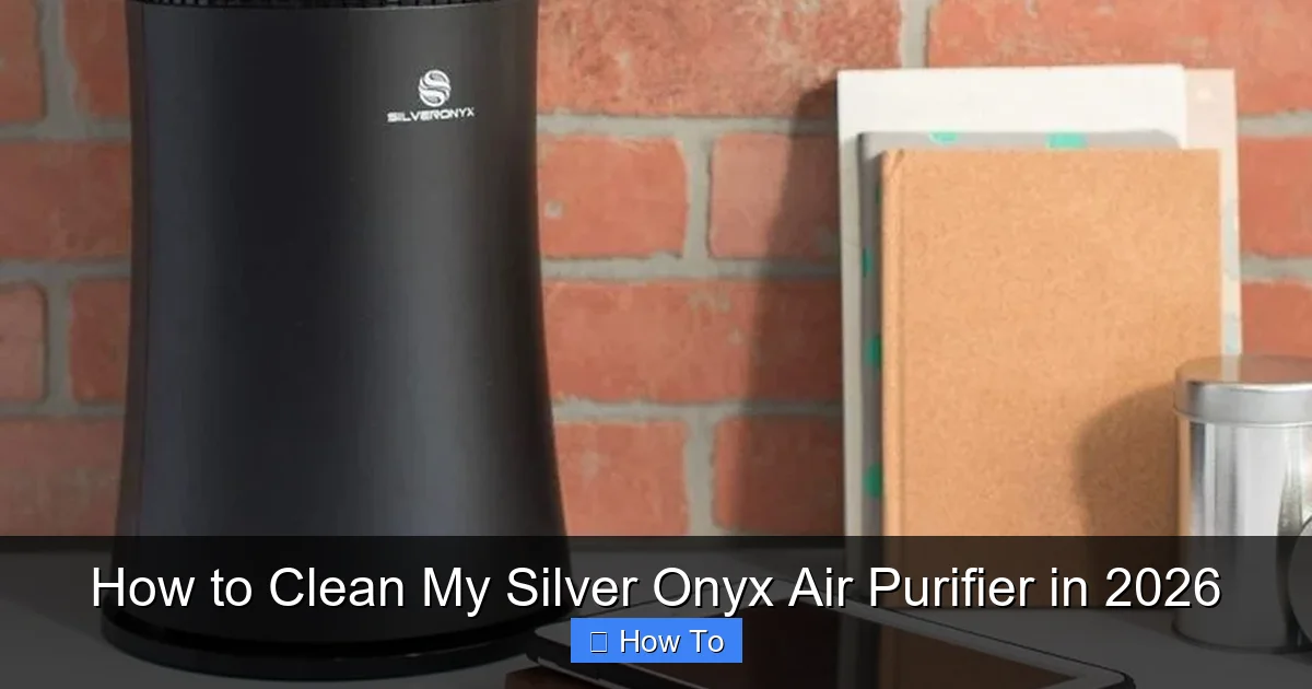 How to Clean My Silver Onyx Air Purifier in 2026
