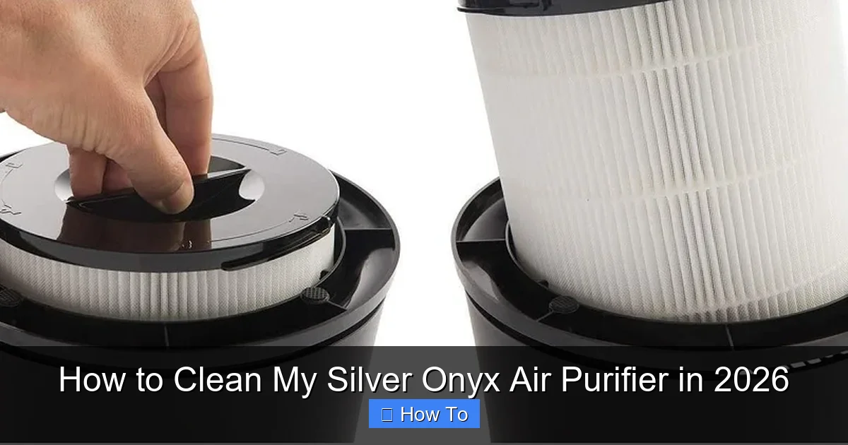 How to Clean My Silver Onyx Air Purifier in 2026