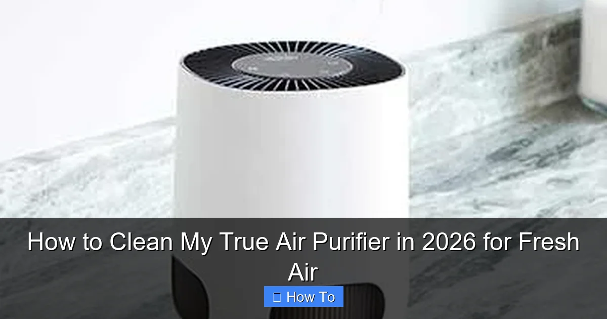 How to Clean My True Air Purifier in 2026 for Fresh Air
