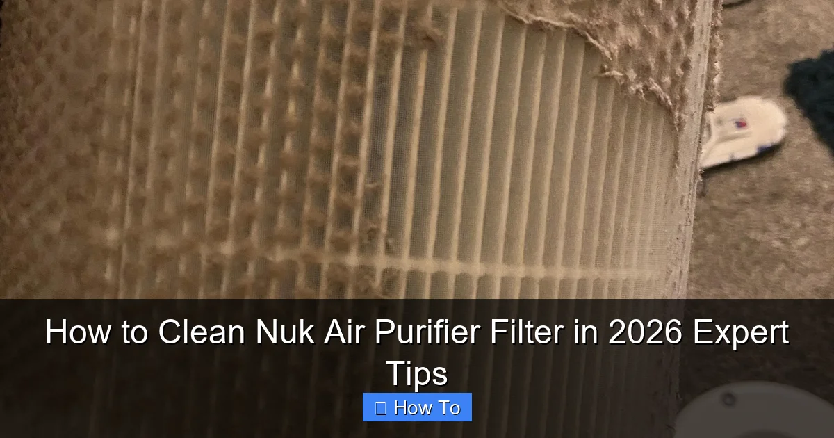 How to Clean Nuk Air Purifier Filter in 2026 Expert Tips
