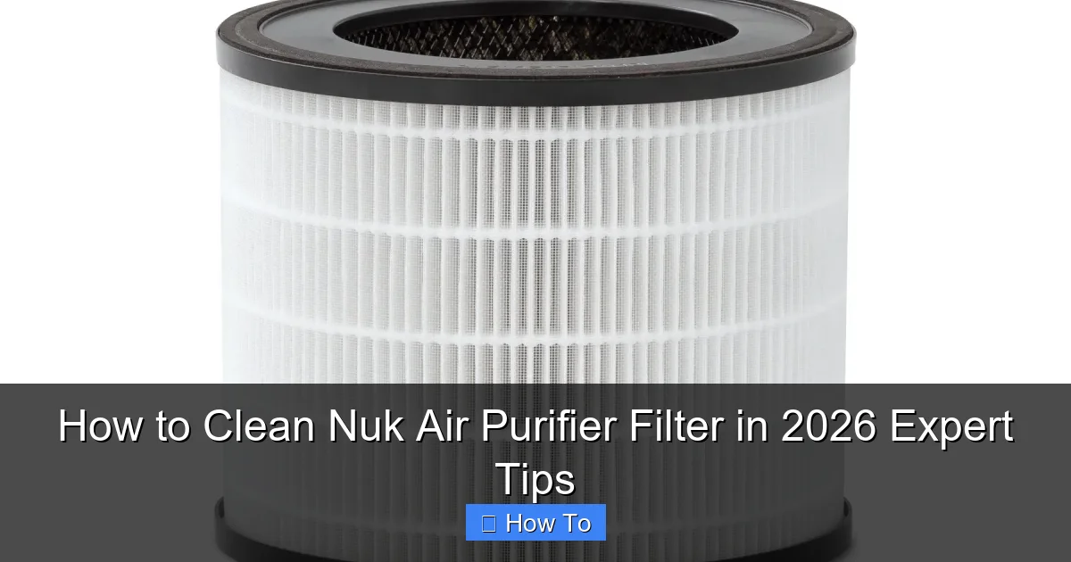 How to Clean Nuk Air Purifier Filter in 2026 Expert Tips