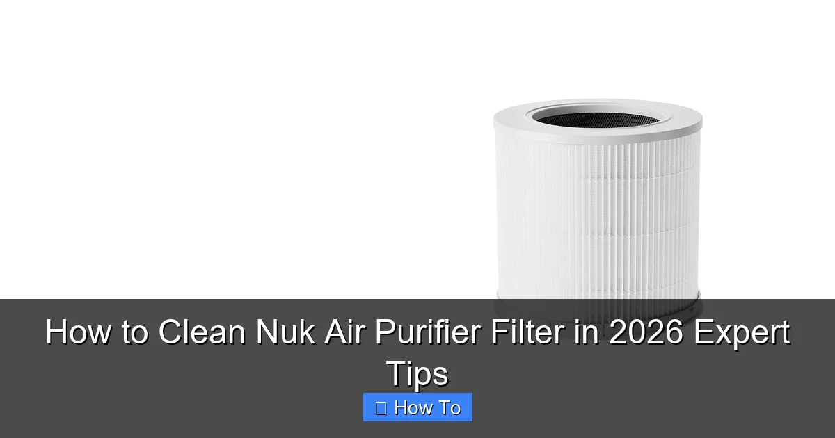How to Clean Nuk Air Purifier Filter in 2026 Expert Tips
