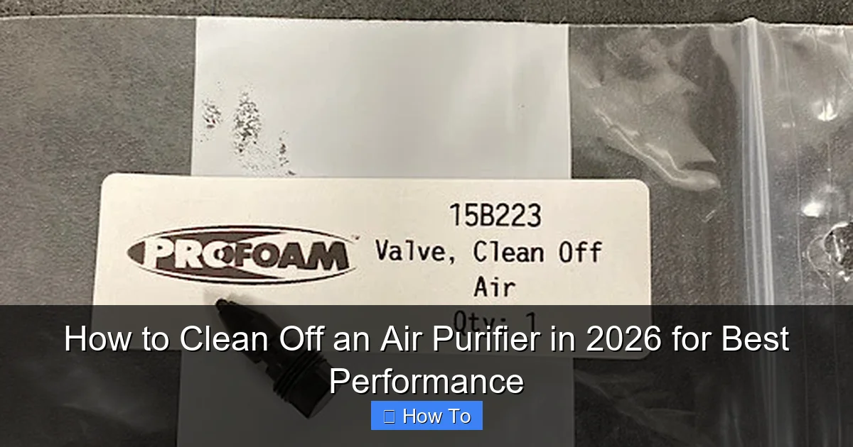 How to Clean Off an Air Purifier in 2026 for Best Performance