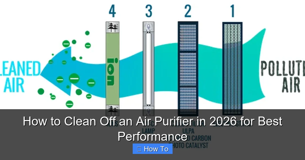 How to Clean Off an Air Purifier in 2026 for Best Performance