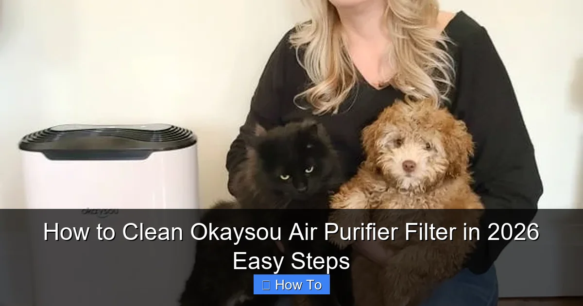 How to Clean Okaysou Air Purifier Filter in 2026 Easy Steps