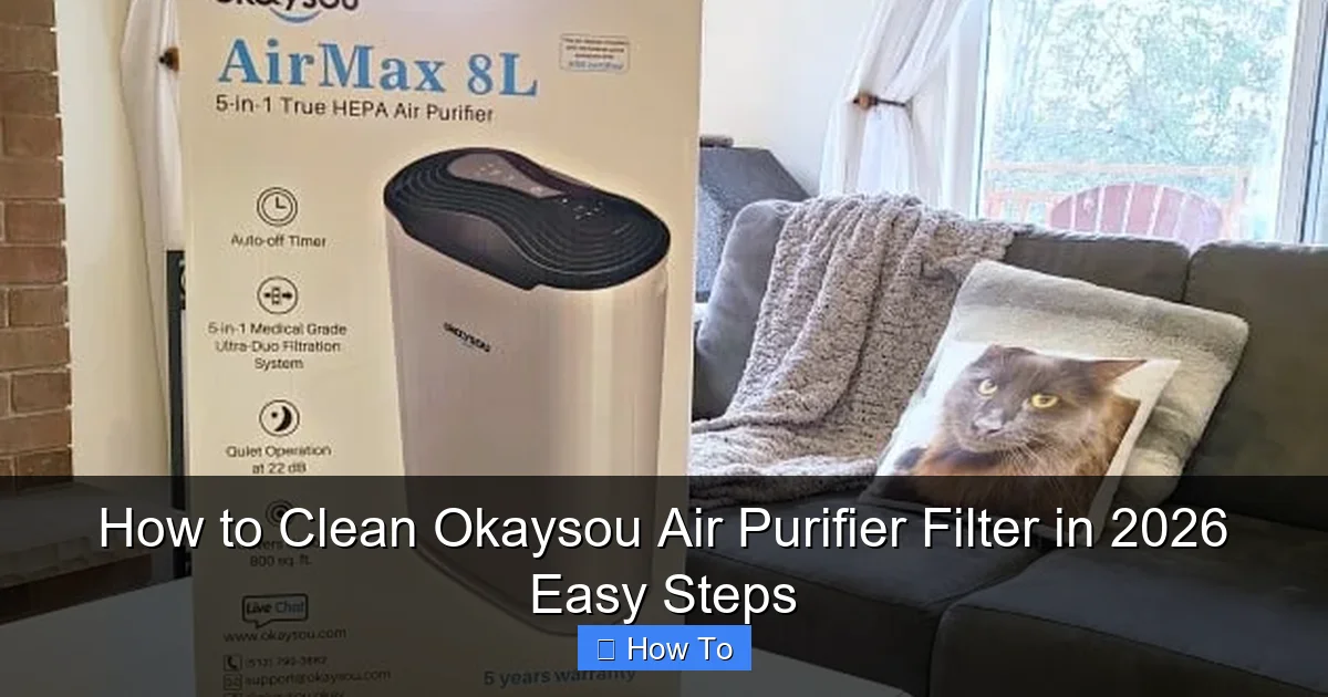 How to Clean Okaysou Air Purifier Filter in 2026 Easy Steps