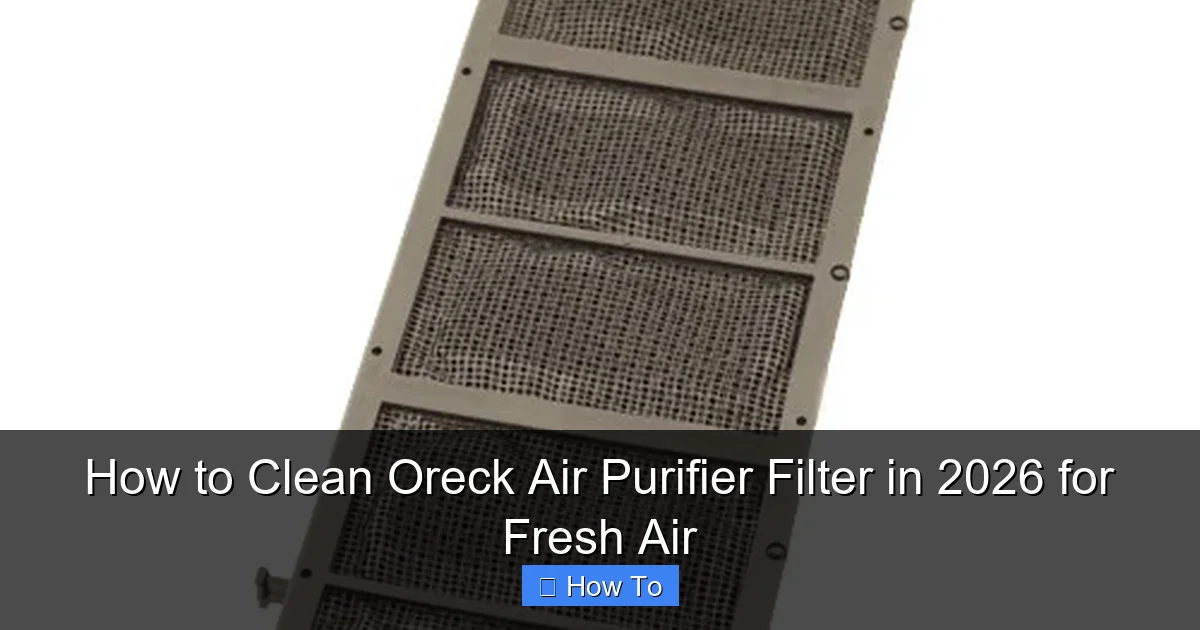 How to Clean Oreck Air Purifier Filter in 2026 for Fresh Air