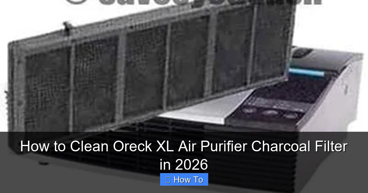 How to Clean Oreck XL Air Purifier Charcoal Filter in 2026