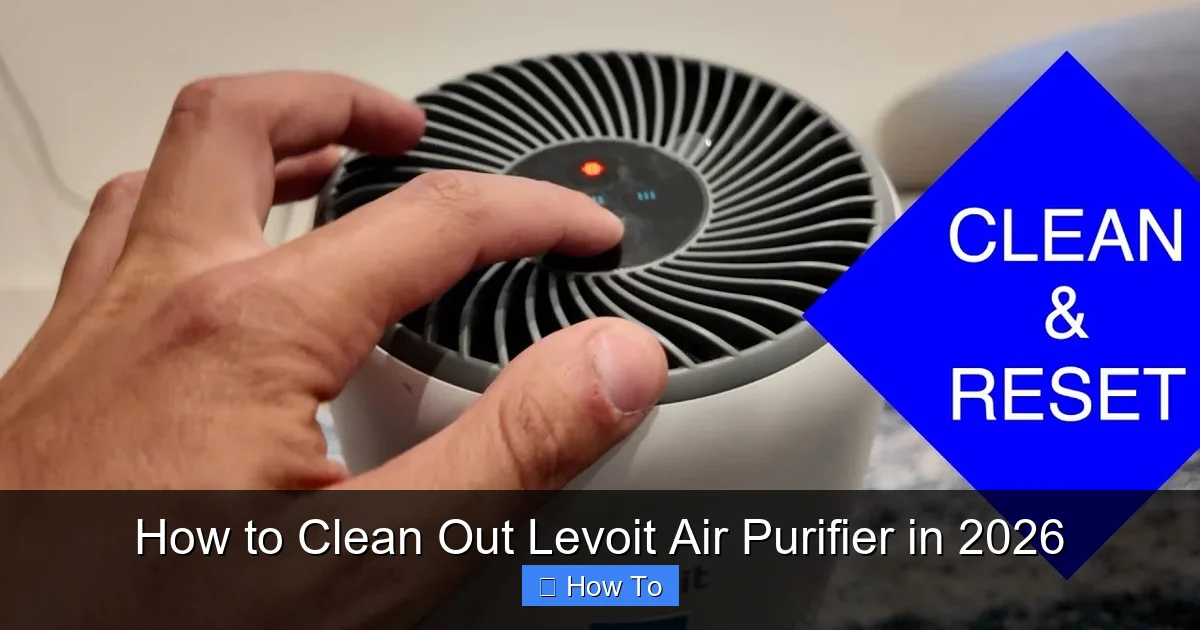 How to Clean Out Levoit Air Purifier in 2026