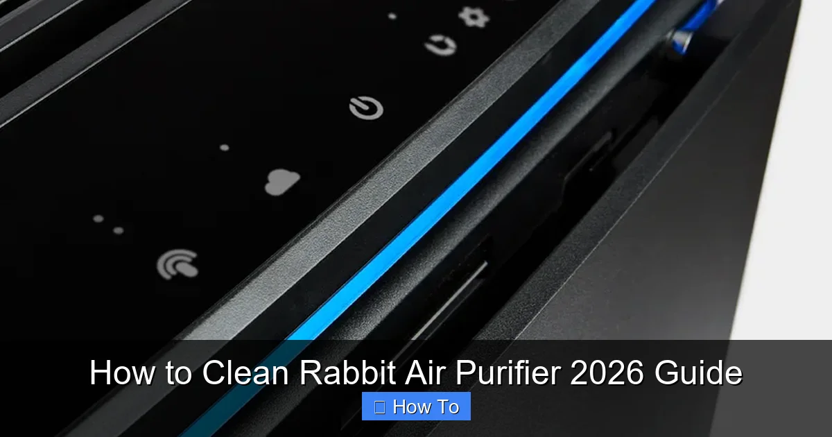 How to Clean Rabbit Air Purifier 2026 Guide