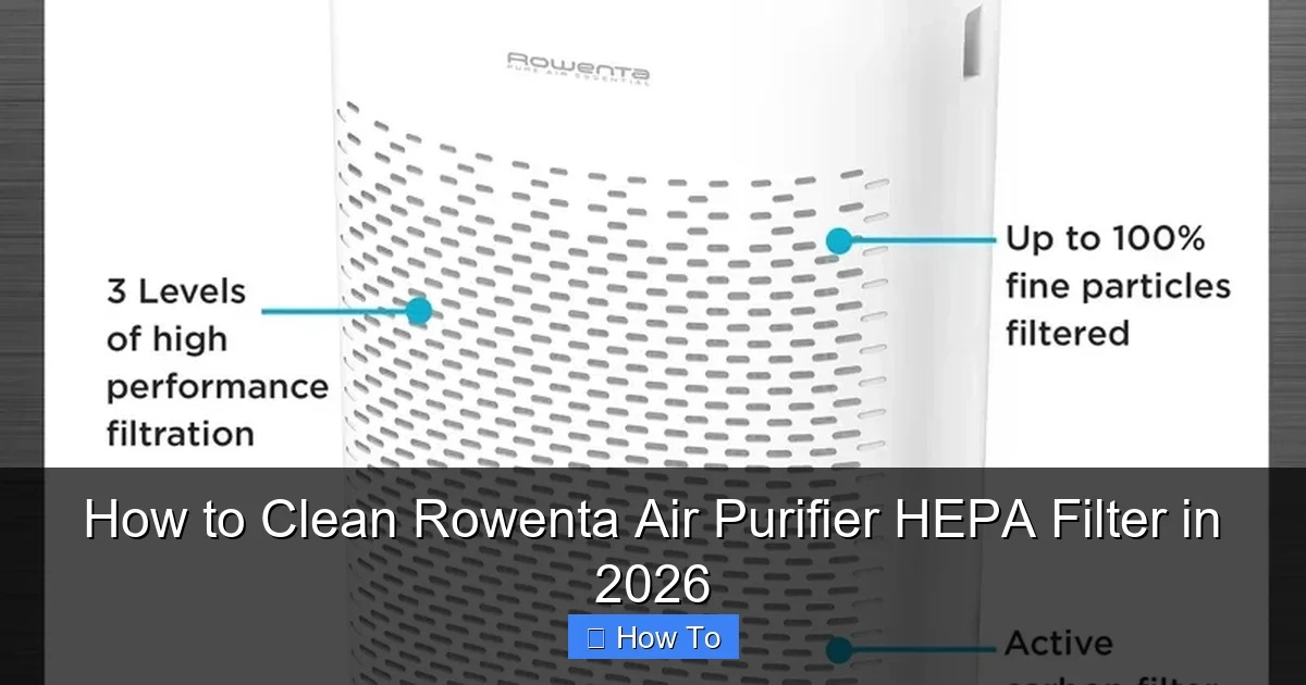 How to Clean Rowenta Air Purifier HEPA Filter in 2026