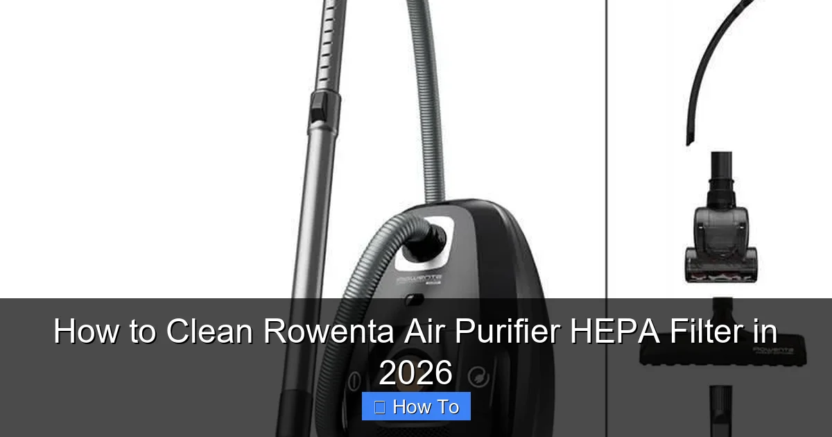 How to Clean Rowenta Air Purifier HEPA Filter in 2026