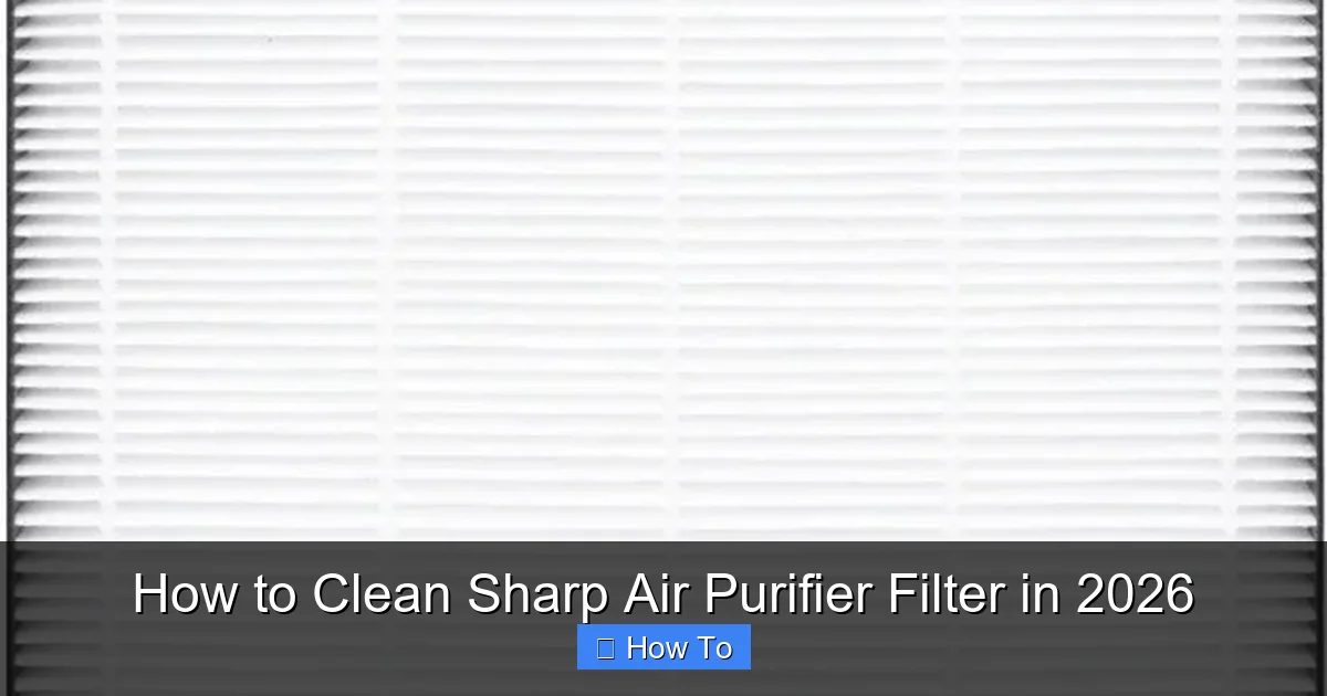 How to Clean Sharp Air Purifier Filter in 2026