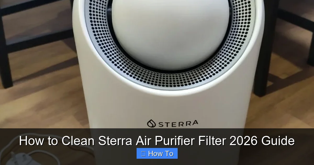 How to Clean Sterra Air Purifier Filter 2026 Guide