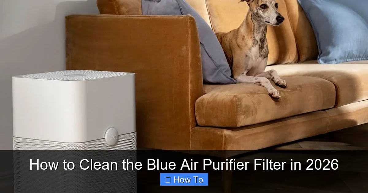 How to Clean the Blue Air Purifier Filter in 2026