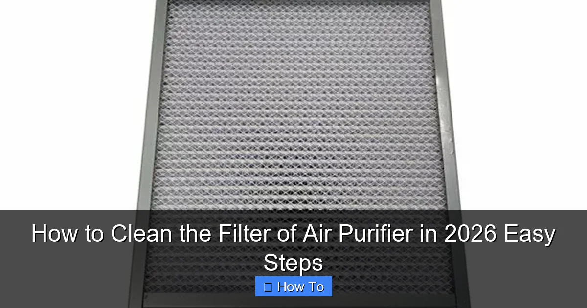 How to Clean the Filter of Air Purifier in 2026 Easy Steps