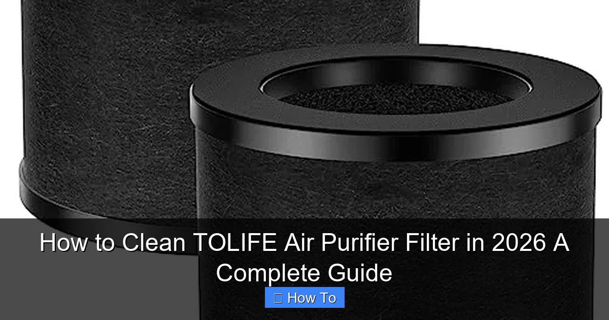 How to Clean TOLIFE Air Purifier Filter in 2026 A Complete Guide
