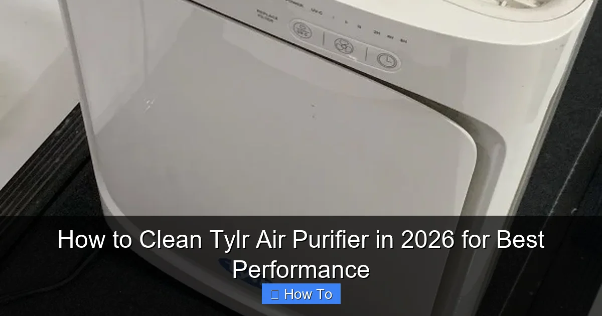 How to Clean Tylr Air Purifier in 2026 for Best Performance