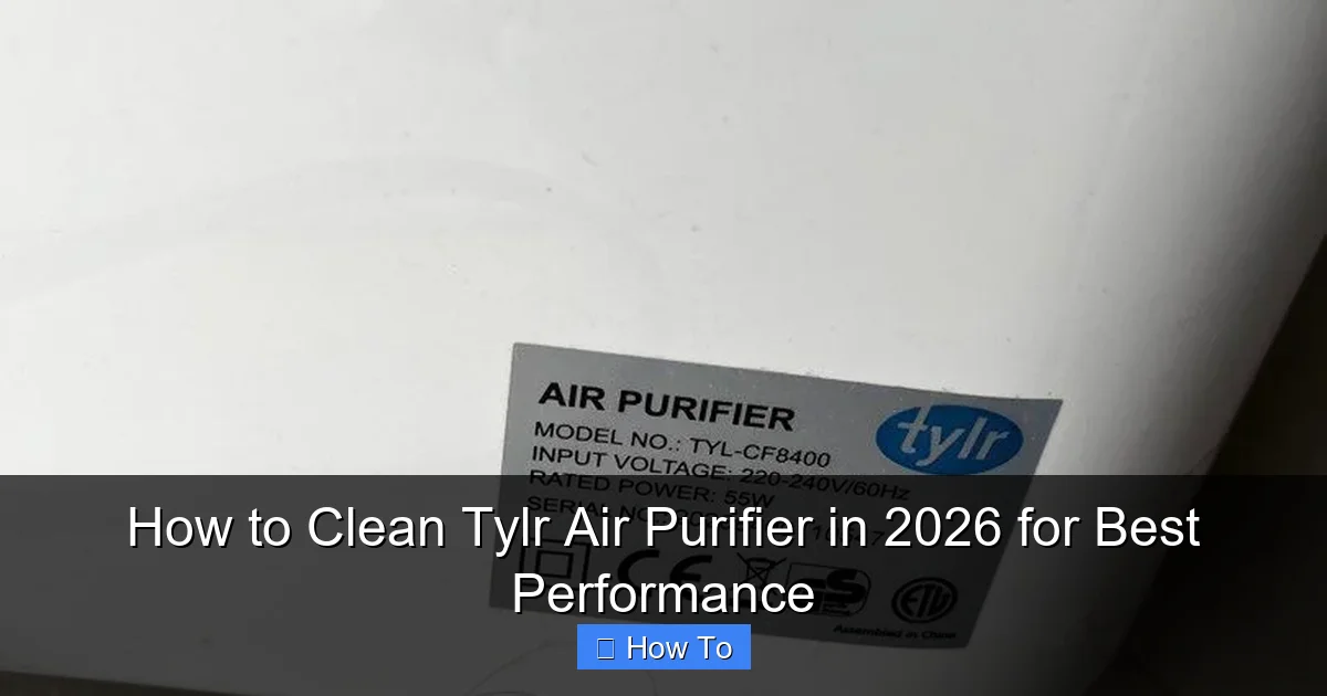 How to Clean Tylr Air Purifier in 2026 for Best Performance