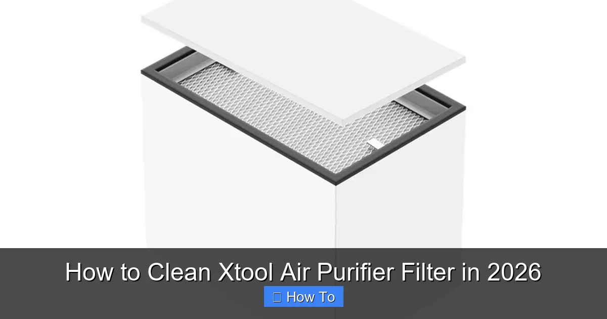 How to Clean Xtool Air Purifier Filter in 2026