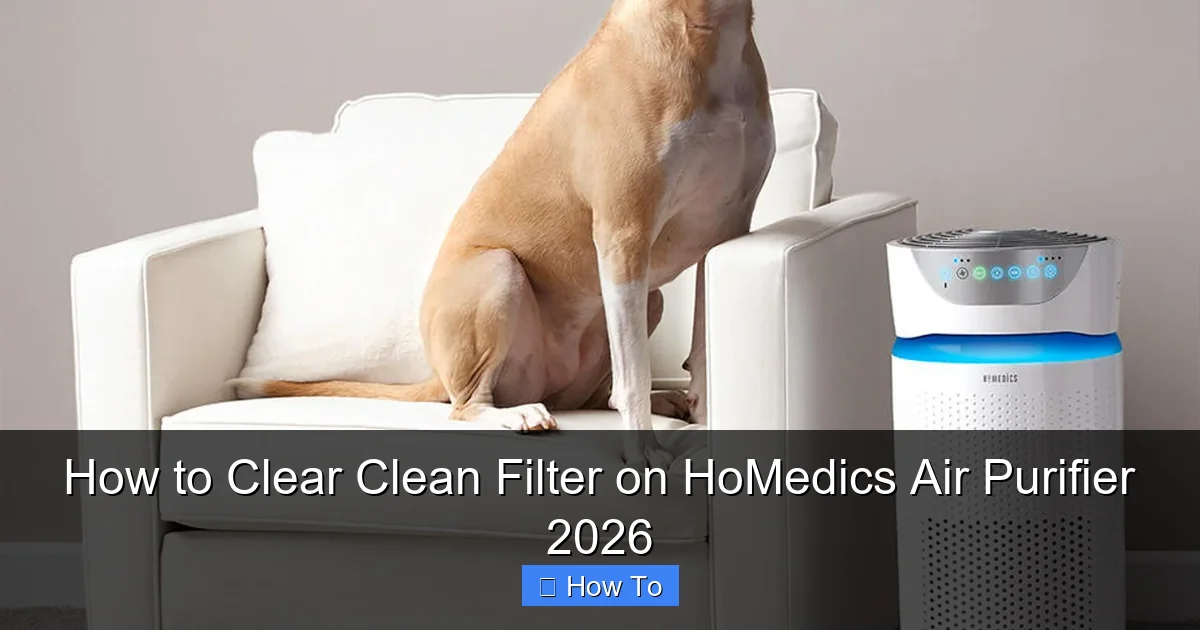How to Clear Clean Filter on HoMedics Air Purifier 2026