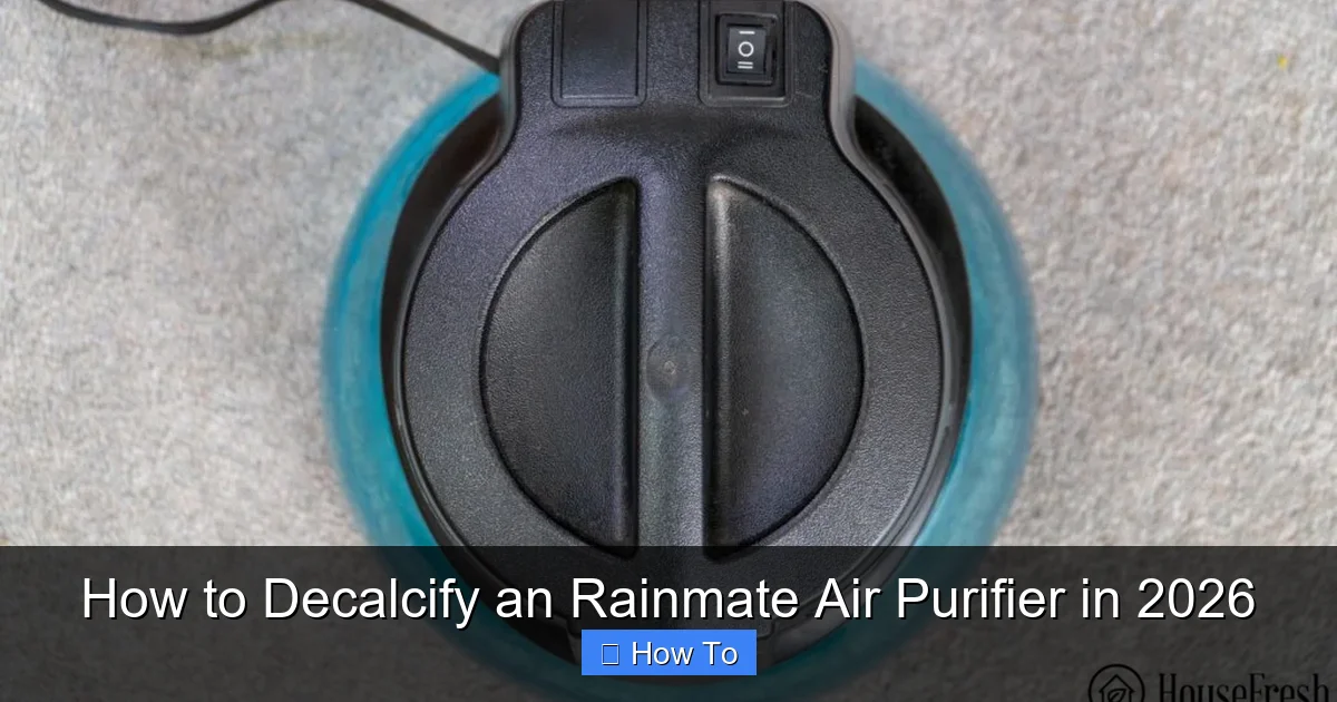 How to Decalcify an Rainmate Air Purifier in 2026