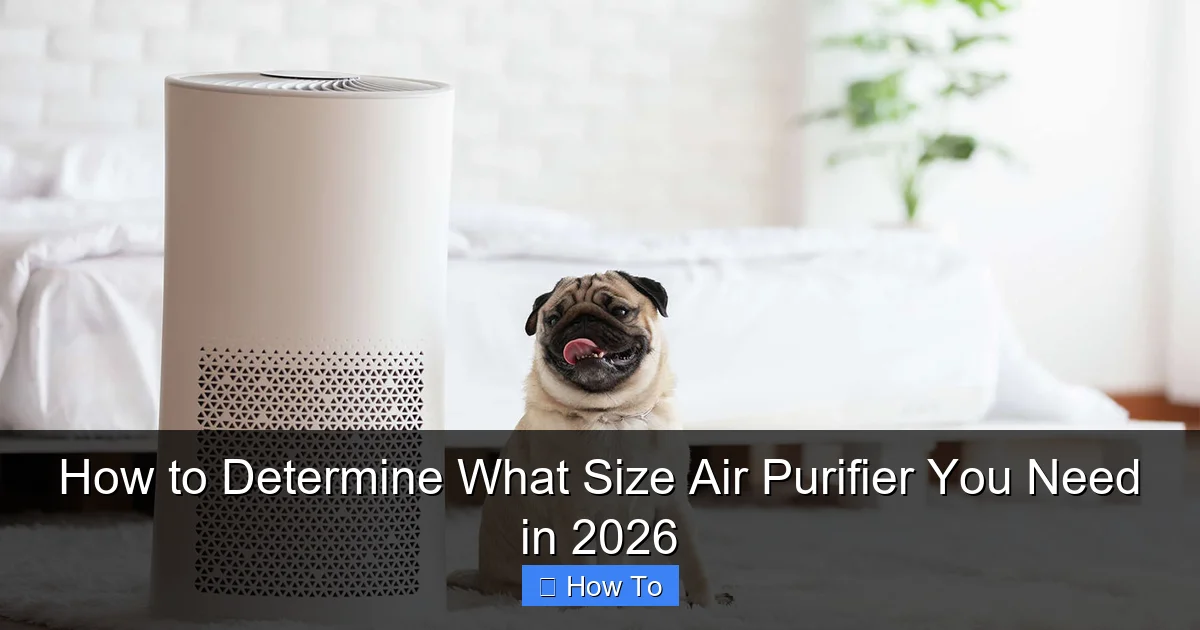 How to Determine What Size Air Purifier You Need in 2026