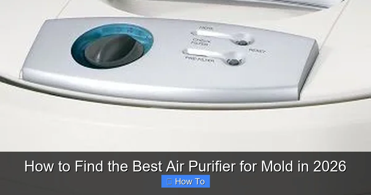 How to Find the Best Air Purifier for Mold in 2026