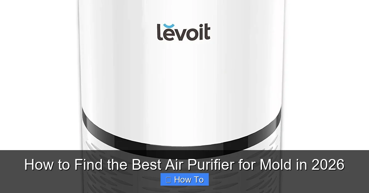 How to Find the Best Air Purifier for Mold in 2026