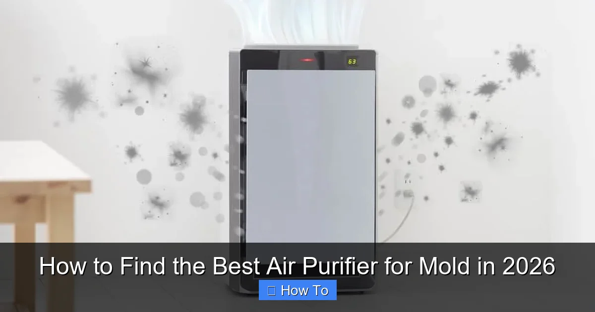 How to Find the Best Air Purifier for Mold in 2026