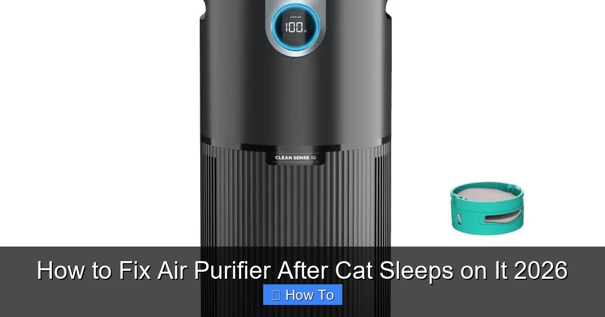 How to Fix Air Purifier After Cat Sleeps on It 2026