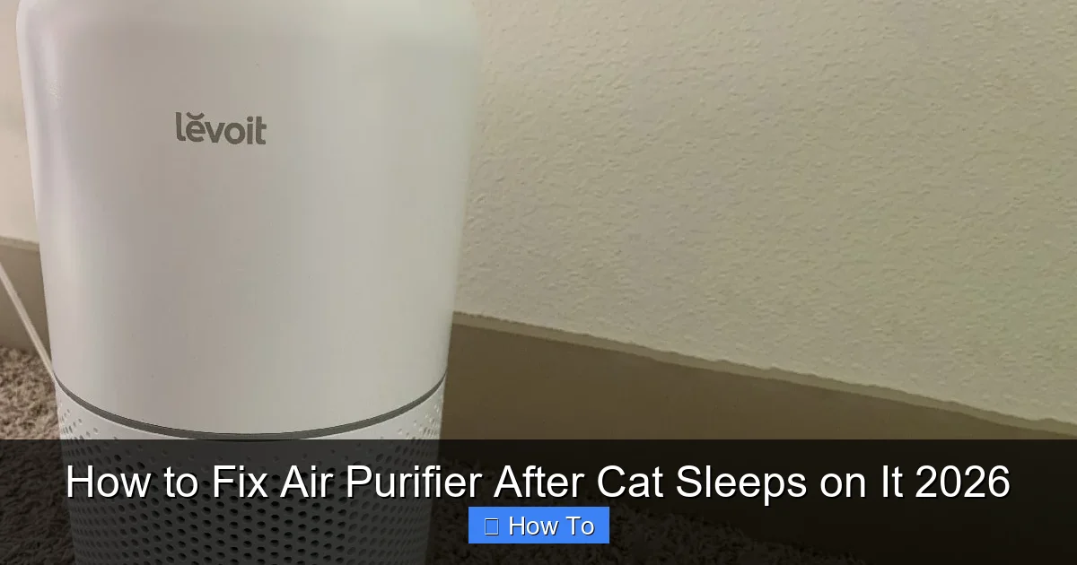 How to Fix Air Purifier After Cat Sleeps on It 2026
