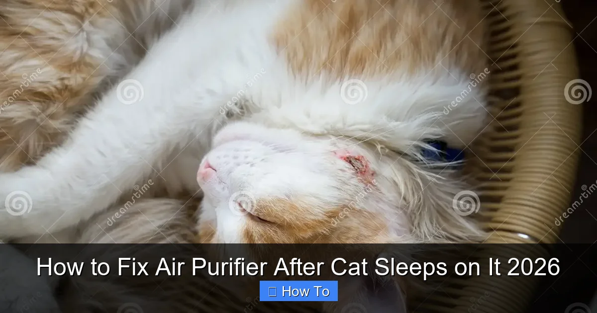 How to Fix Air Purifier After Cat Sleeps on It 2026