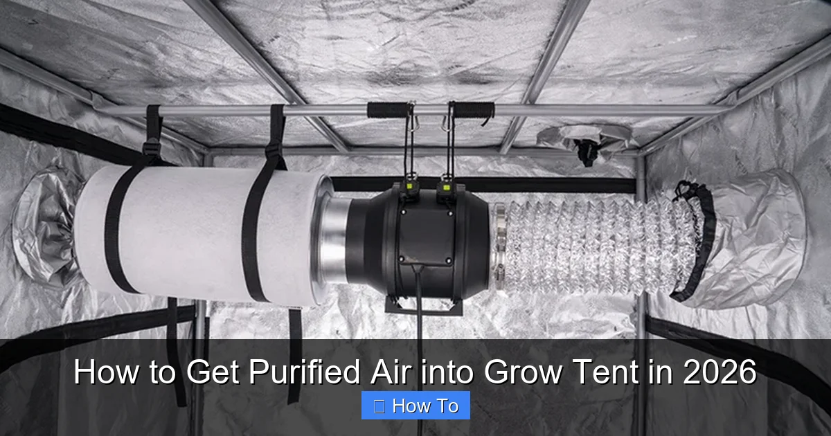 How to Get Purified Air into Grow Tent in 2026