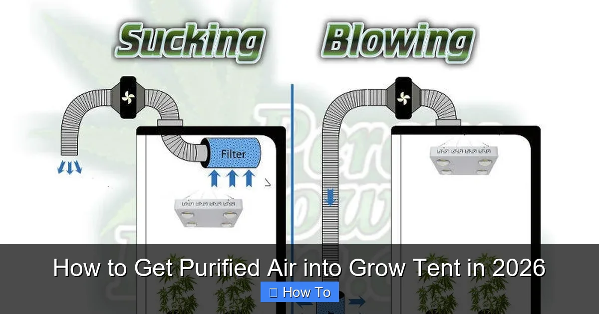 How to Get Purified Air into Grow Tent in 2026
