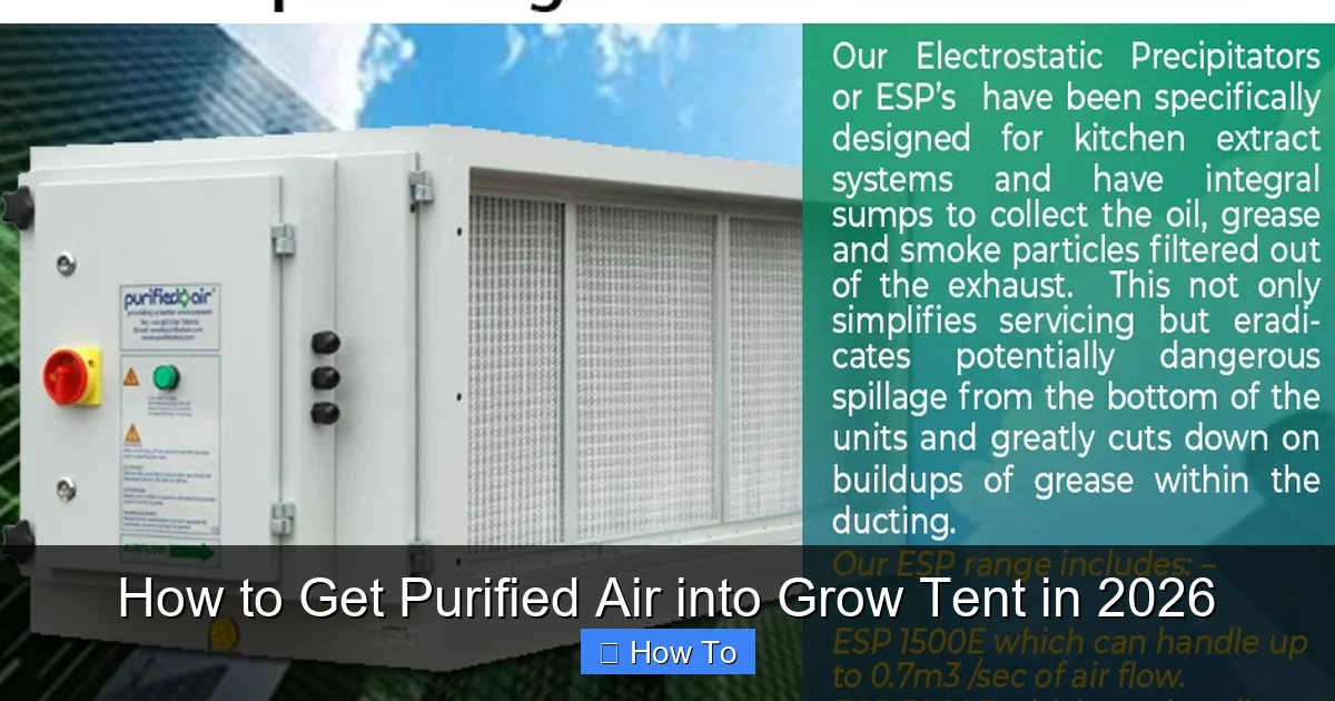 How to Get Purified Air into Grow Tent in 2026