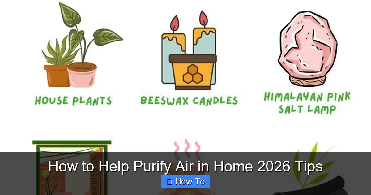 How to Help Purify Air in Home 2026 Tips